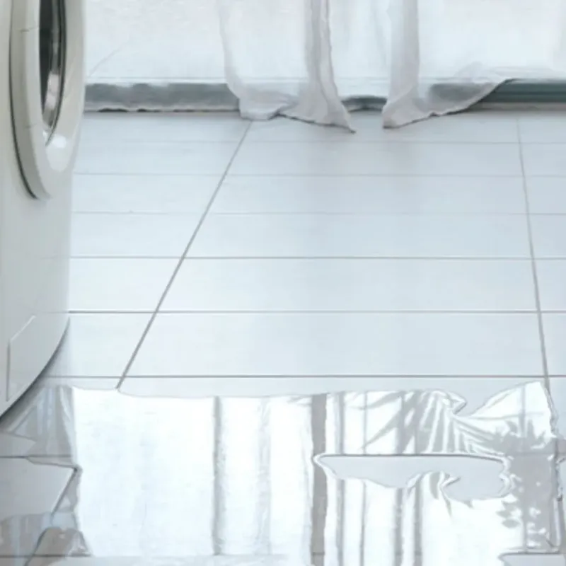 Appliance Leak Cleanup in West Sharyland, TX