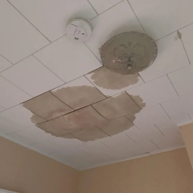 Ceiling Water Damage Repair in West Sharyland, TX
