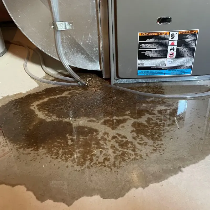 Pipe Burst and Leak Restoration in West Sharyland, TX