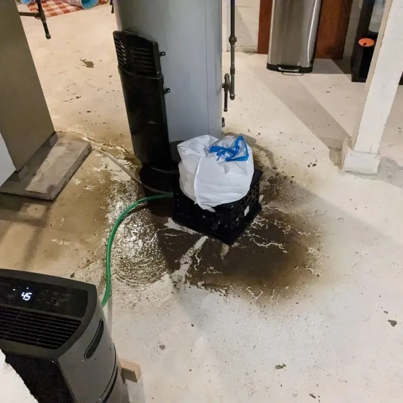 Sewage Backup Cleanup Service in West Sharyland, TX
